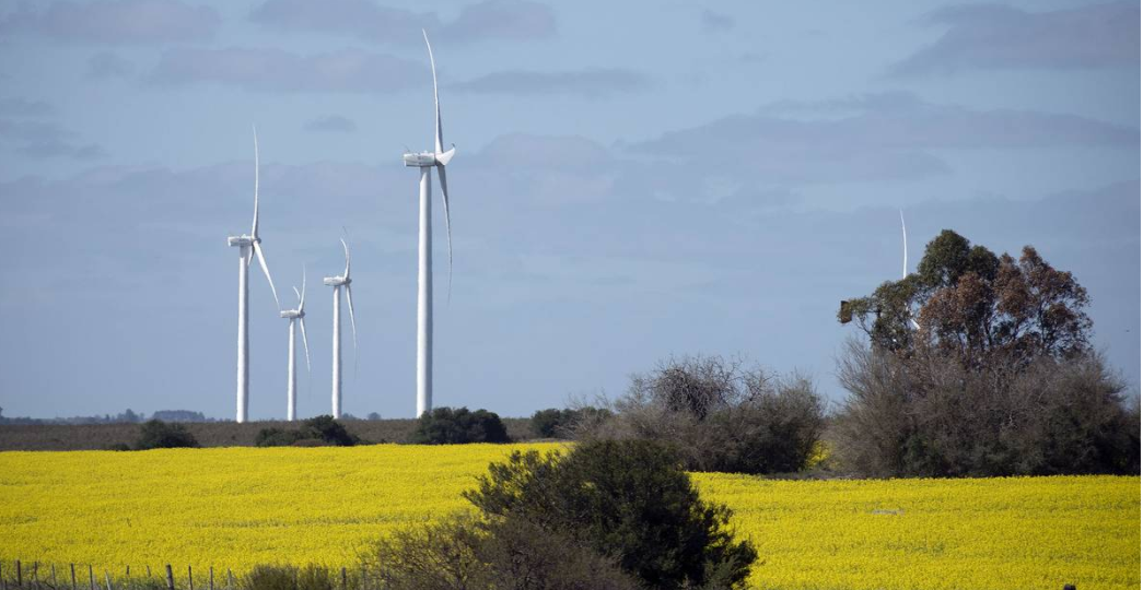 CAPTURA FOTO PRINCIPAL MATUTINO LA DIARIA