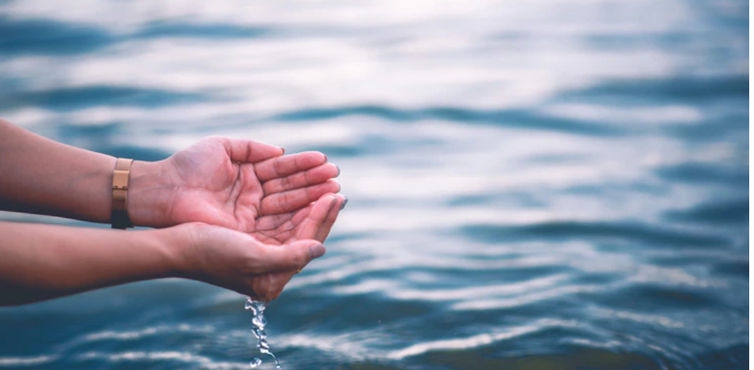 FOTO LOS PILARES DE LA ECONOMIA AZUL