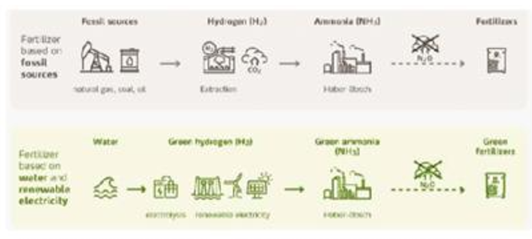 foto de portada amoniaco verde 2